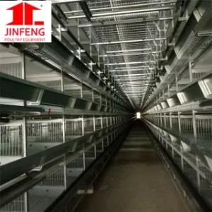 H Type Layer Broiler Livestock Machinery Cage Equipment