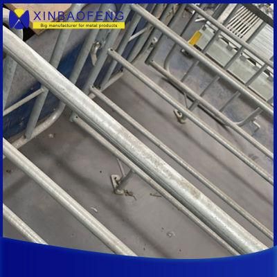 Customized Pig Stall Gestation Stall for Sows