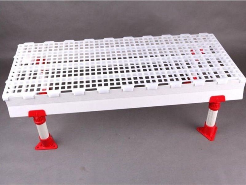 Poultry Farming Equipment Chicken Plastic Slat Floor for Poultry Farm