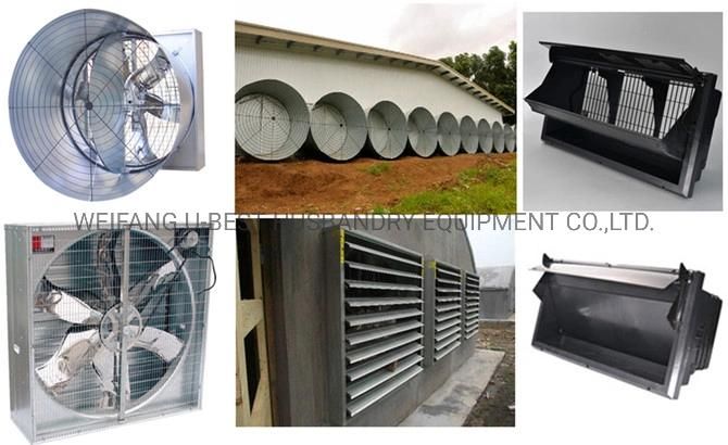 Modern Automatic Poultry Farming Equipment for Chicken Broiler