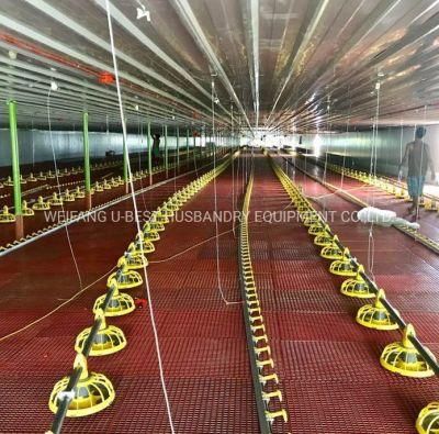 2021 Popular Type Chicken Farm Automatic Broiler Poultry Equipment