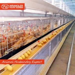 Morocco Poultry Farm Good Price 3 Tiers H Type Battery Chicken Cage System &amp; Battery Broiler Cage