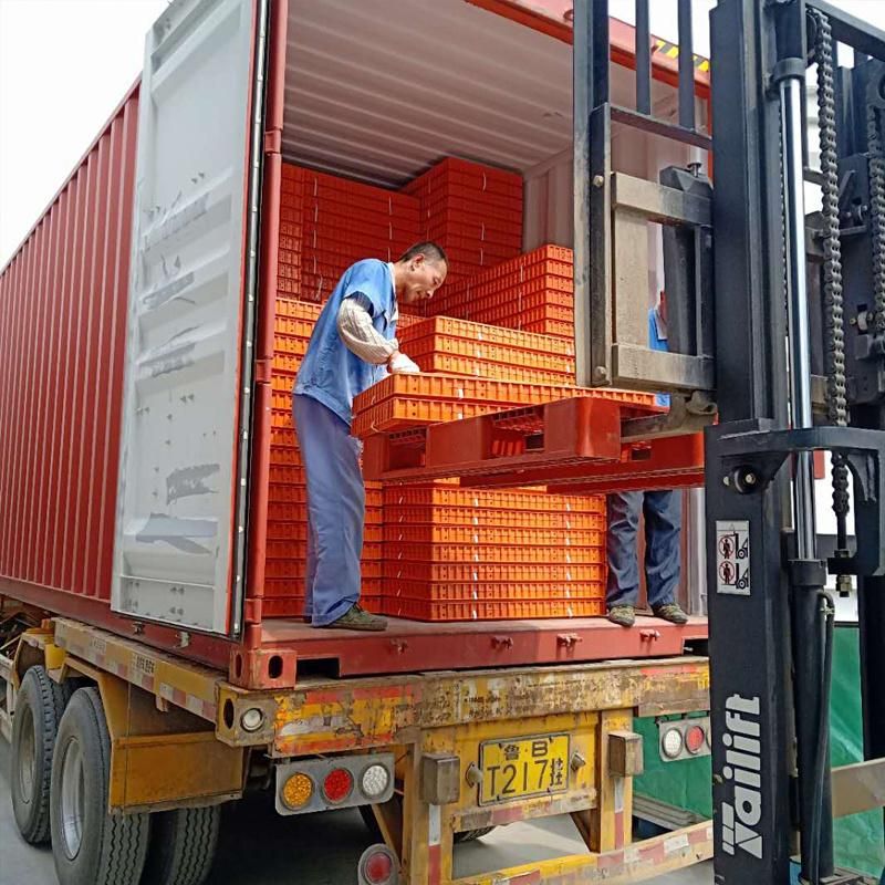 Live Chicken Broiler Transport Crate Transport Cages for Poultry Farms