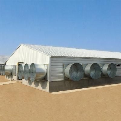 Light Prefab/Prefabricated Hot Sale High Quality Meat Chicken Poultry Farm