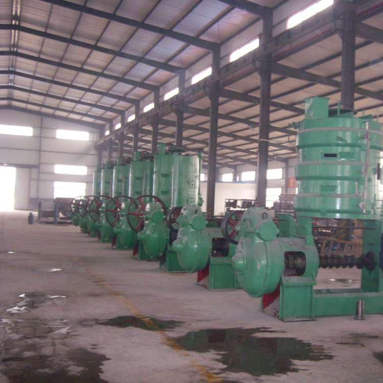 Hot Sale HP202-3 Screw Peanut Oil Presser
