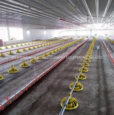 Breeder/Broiler/Chicken Feeding System of Poultry Equipment