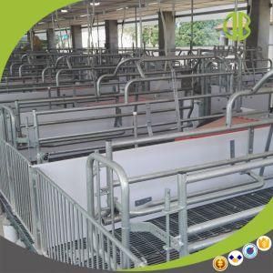 Customer Design Farrowing Crate Pig Farm Equipment