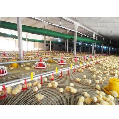 Chicken Feeder Pan Plastic Feeding Plate Poultry Coop Watering Equipment Feeding System
