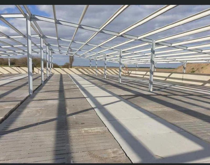 Pig Farm Turnkey Project Design and Equipment