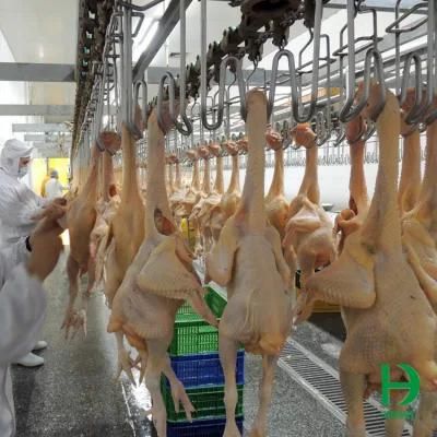 5000bph Abattoir Chicken Duck Processing Equipment Whole Line Processing