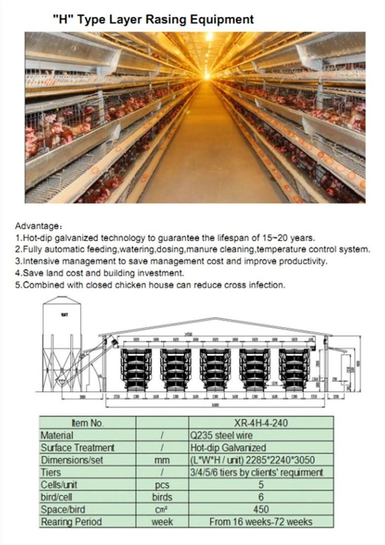 6-Storey High-Quality Cage Equipment for Layer Chicken