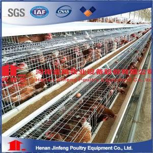 Jfa4120 South Africa Best Sale Chicken Egg Layer Cages