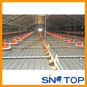 Full Set of Automatic Chicken Farming Equipment Supplier in China-Sinotop