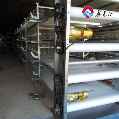 Poultry Cage Layer Raising Equipment