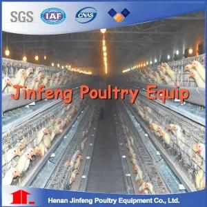 2018 New Design /Automatic Poultry Farming Equipment