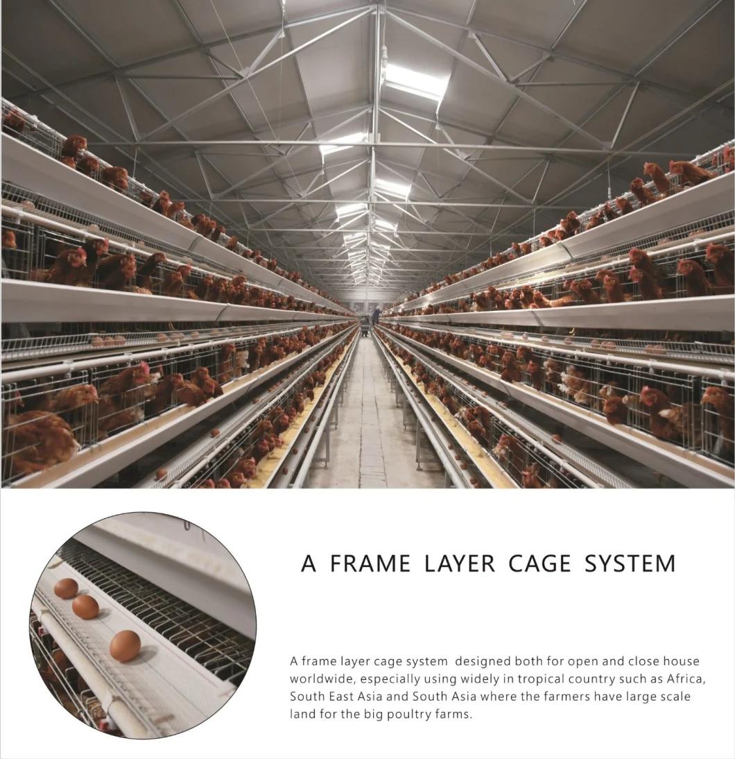 Type a Stable Automatic Chicken Cage Equipment