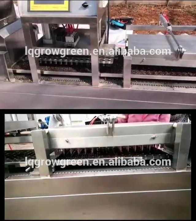 Automatic Seed Sowing Machine Farm Nursery Seedling Machine for Seedling Trays