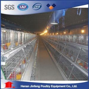 a Type Chicken Cage Poultry Farm Equipment for Layer Chicken