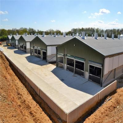 Prefab High Quality Long Time Usage Steel Structure Pig Shed