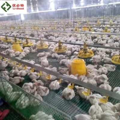Chicken Coop Broiler House Feeder System Equipment for Poultry