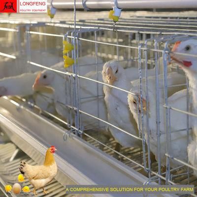 Longfeng Poultry Equipment for A Type of Layer Cage with High Quality