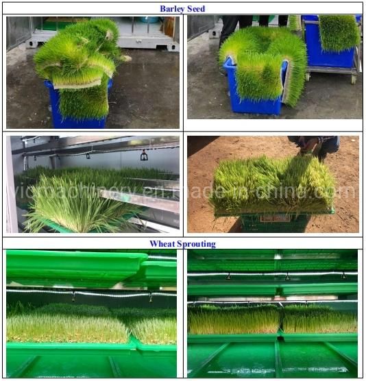 2020 Newest Moving Hydroponic Farm Equipment With 120 trays