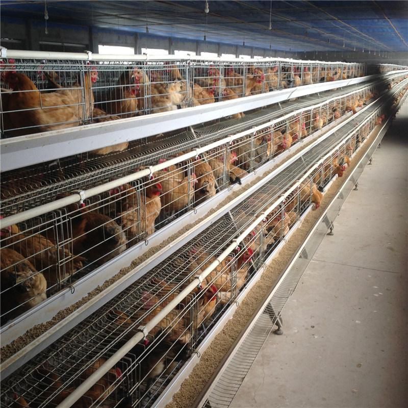 Hot Selling Automatic Poultry Equipment Battery Cage