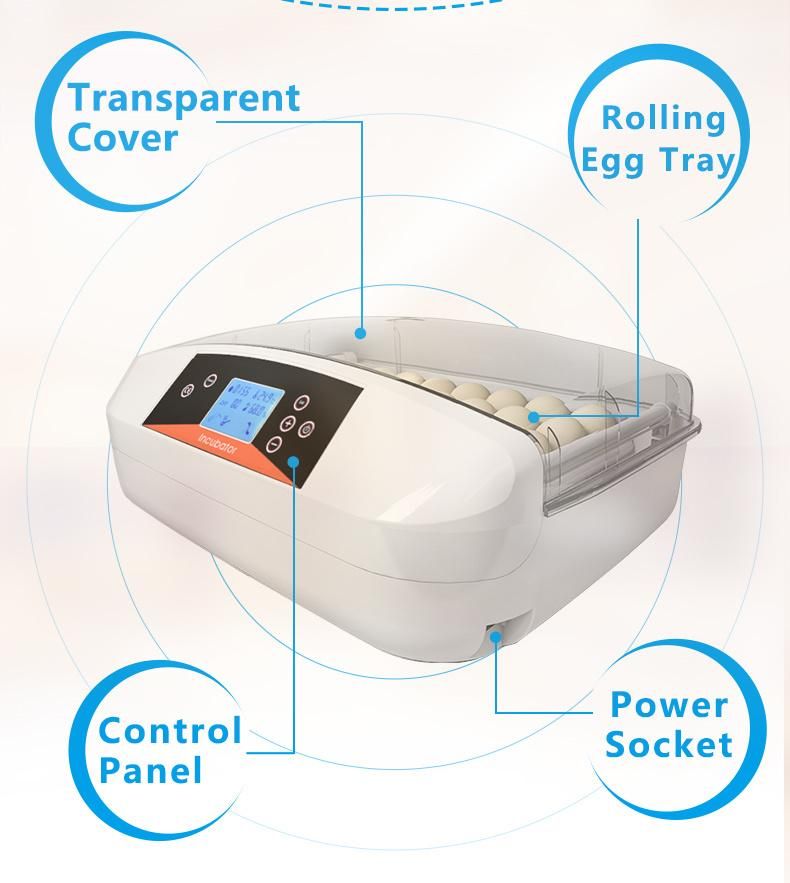 Hhd Egg Incubator 32 Capacity Rolling Egg Tray Hathing Machine Made in China