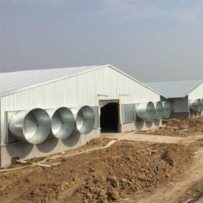 Best Material High Quality Automatic Chicken Coop Equipment