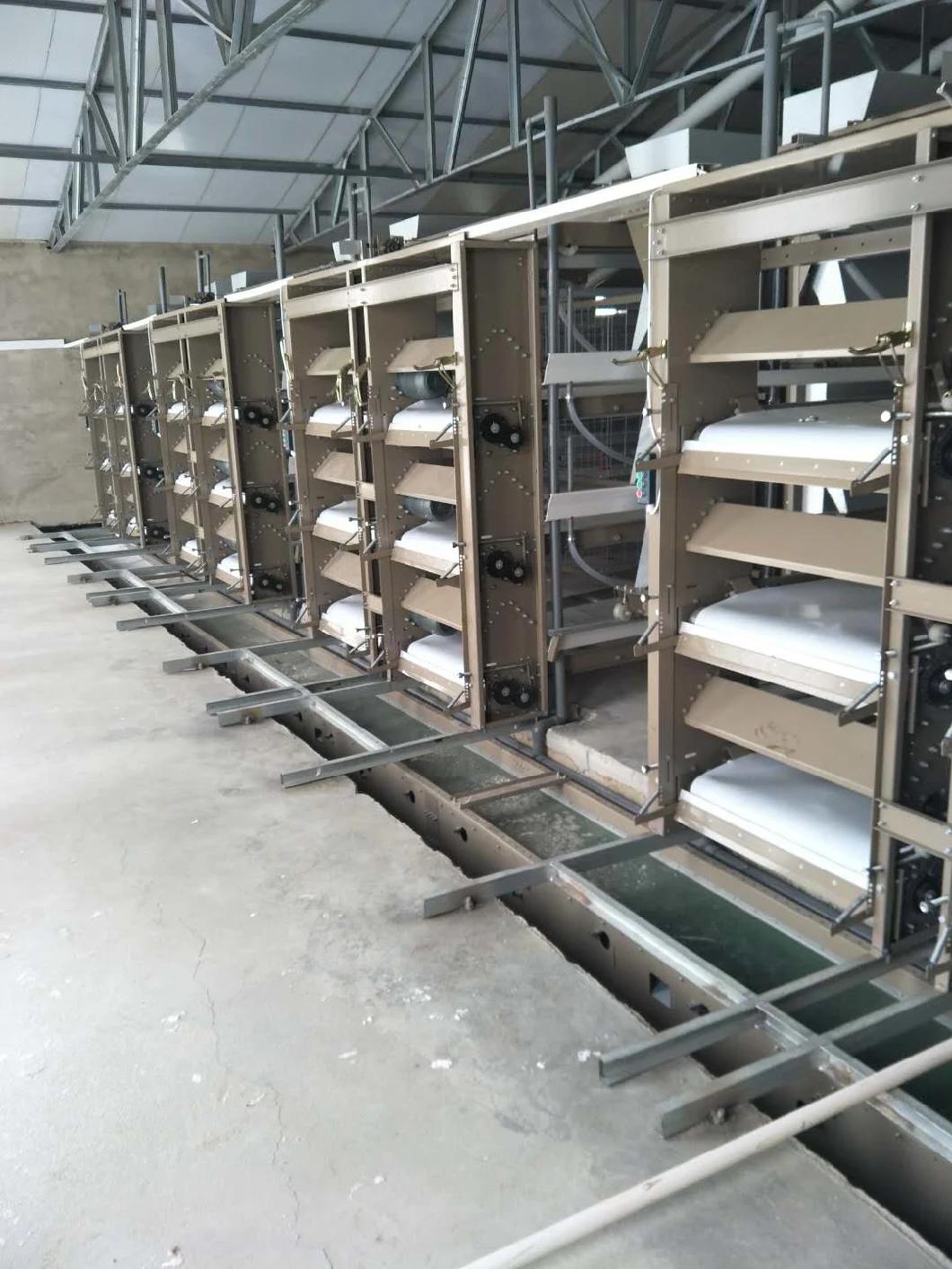 Equipment Galvznized Layer Cages