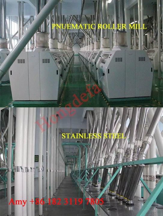 Maize Meal Processing Machine Maize Milling Machinery