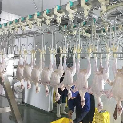 800bph Small Capacity Chicken Slaughter Line Chicken Meat Processing Equipment