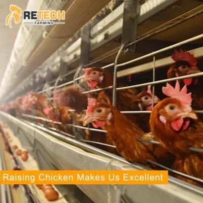 Good price automatic layer farm chicken cages for sale