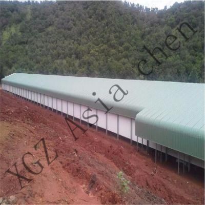 Asia Chen Design Prefabricated Chicken House for Chicken Production