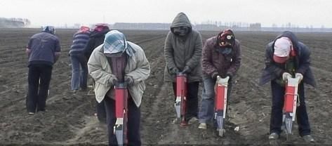 Seeders Corn Seed Planter, Seeder with Fertilizer, Fertilizer Seeding, Portable Seeder with Bean, Corn