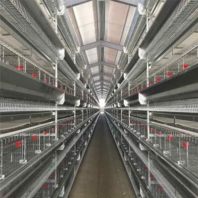 Long Span Easy Built Automatic Steel Chicken Farm Equipment