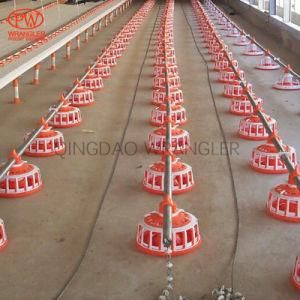 Poultry Farming Breeder Chain Feeding System Cheap and Strong
