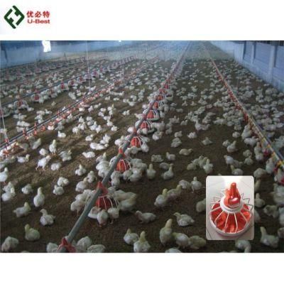 Complete Automatic Chicken Shed Farm Equipment Poultry Farming Equipment for Broiler Birds