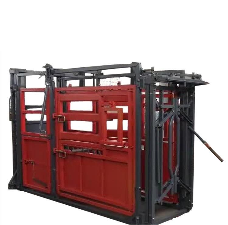 Powder Coated or Galvanized Cattle Chute with Weight Scale
