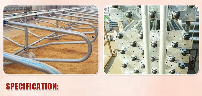 Galvanized Cow Dairy Free Stalls Cattle Fencing Panels Equipment for Sale