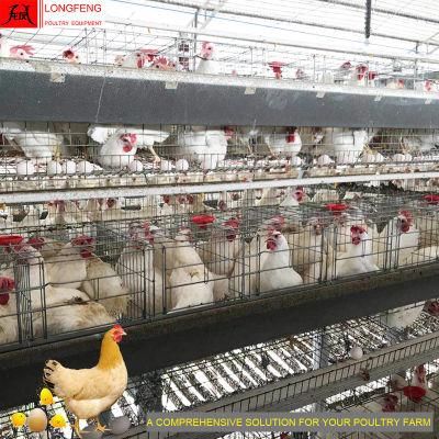 90 Birds, 120birds, 160birds a Type Poultry Feeding Equipment Egg Chicken Cage