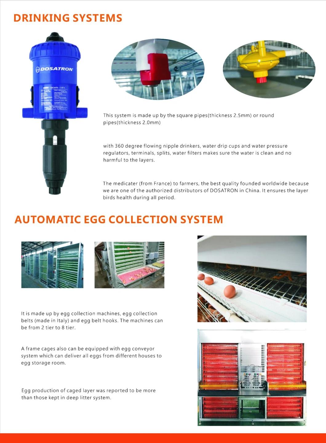 Specialized Battery Layer Cage for Poultry Farm in Africa