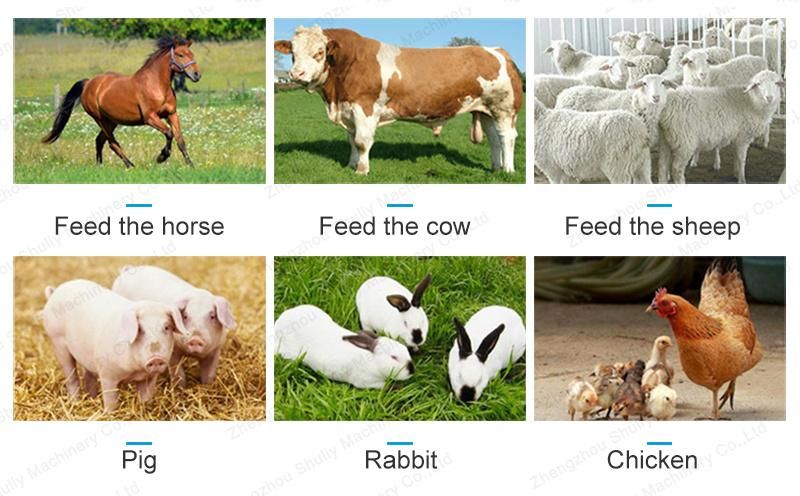 Farm Machinery Chaff Cutter Multifunction Hay Cutting Machine
