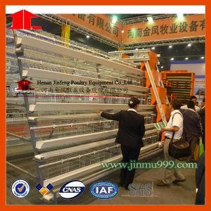 Automatic/ Semi-Automatic Poultry Cages for Chicken Birds Farm House