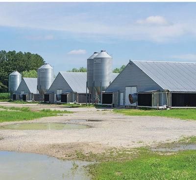 Prefab Poultry House /Modern Livestock Farm From Factory