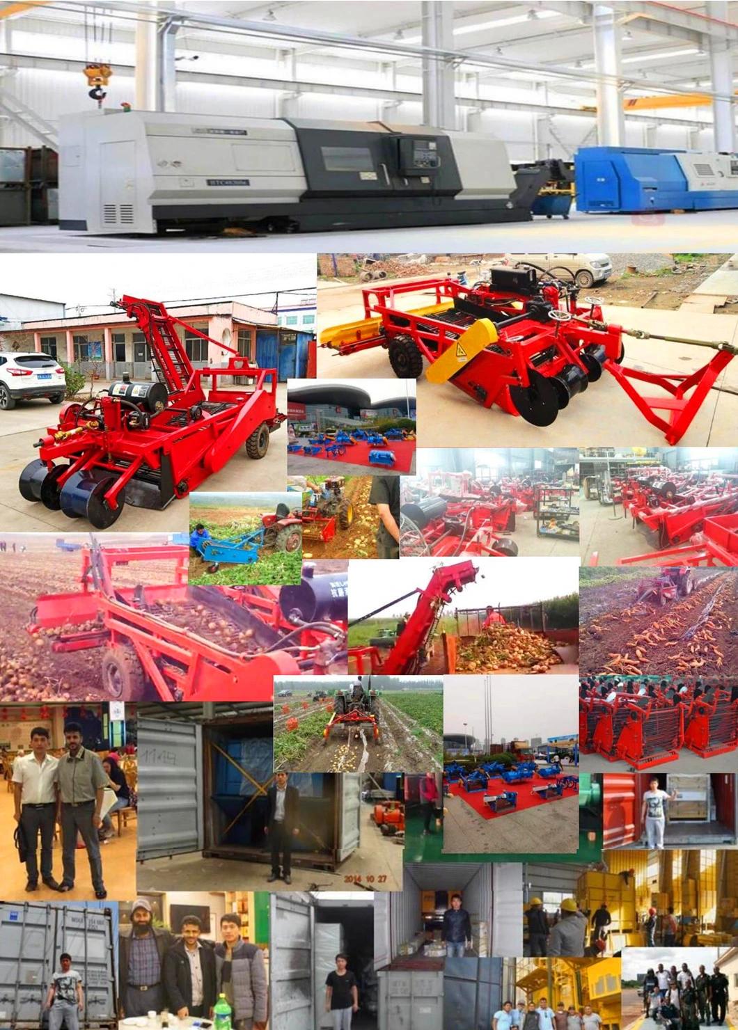 Potato Harvesting Equipment / Potato Harvester Price (factory selling customization)