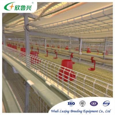 Fully Automatic Layer Cage Equipment with Prefab Steel Chicken House Designing