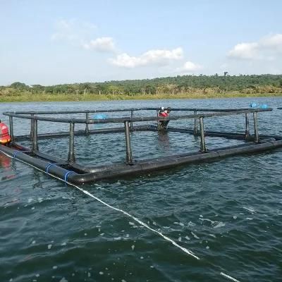 Fish Floating Cage with Anti-Collision HDPE Frame Pipe