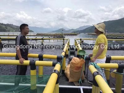 HDPE Floating Offshore Square Circular Aquaculture Cage for Fish Farming