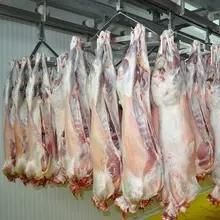 Goat Slaughter House Ovine Abattoir Equipment